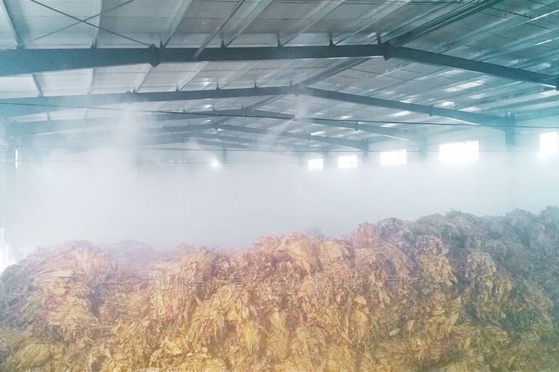 提升煙葉加工質(zhì)量，高效回潮很重要