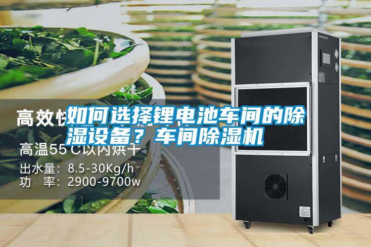 如何選擇鋰電池車間的除濕設(shè)備？車間除濕機(jī)