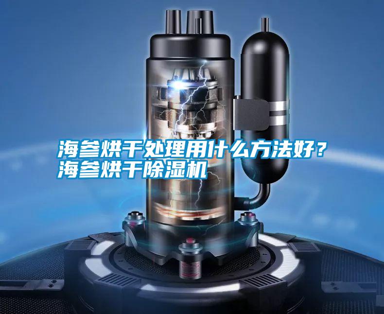 海參烘干處理用什么方法好？海參烘干除濕機(jī)