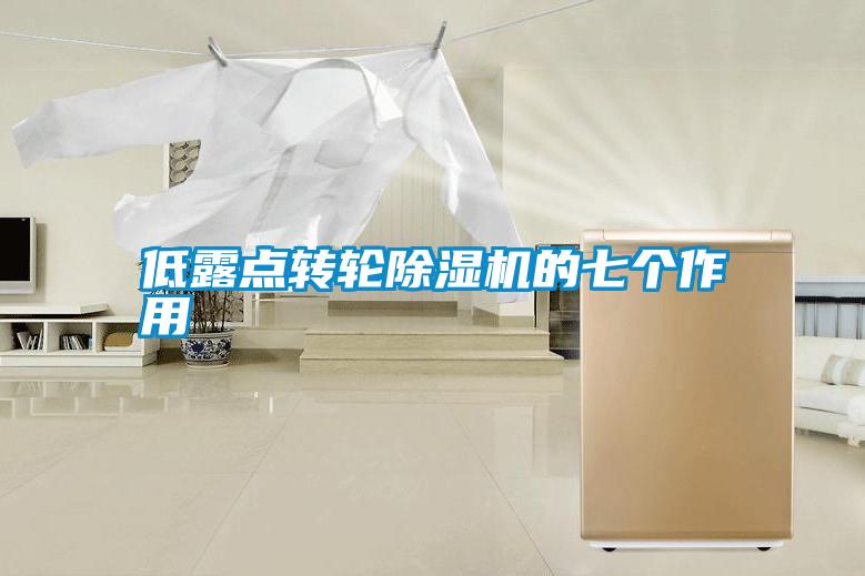 低露點轉(zhuǎn)輪除濕機的七個作用