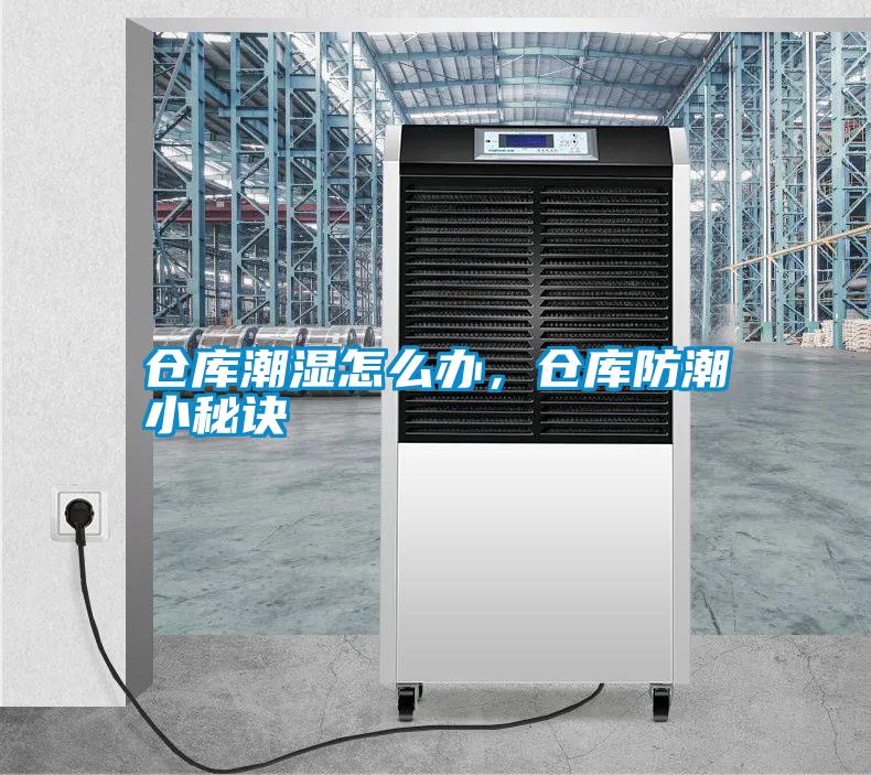 倉庫潮濕怎么辦，倉庫防潮小秘訣