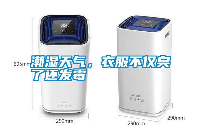 潮濕天氣，衣服不僅臭了還發(fā)霉