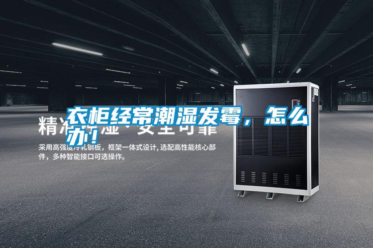 衣柜經(jīng)常潮濕發(fā)霉，怎么辦！