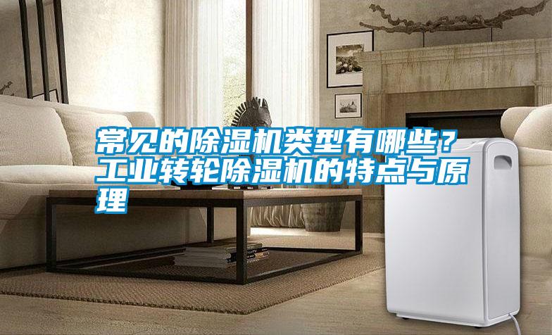 常見的除濕機類型有哪些？工業(yè)轉(zhuǎn)輪除濕機的特點與原理