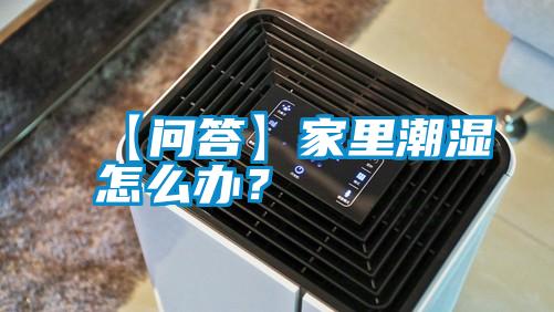 【問(wèn)答】家里潮濕怎么辦？
