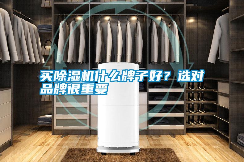 買除濕機(jī)什么牌子好？選對(duì)品牌很重要