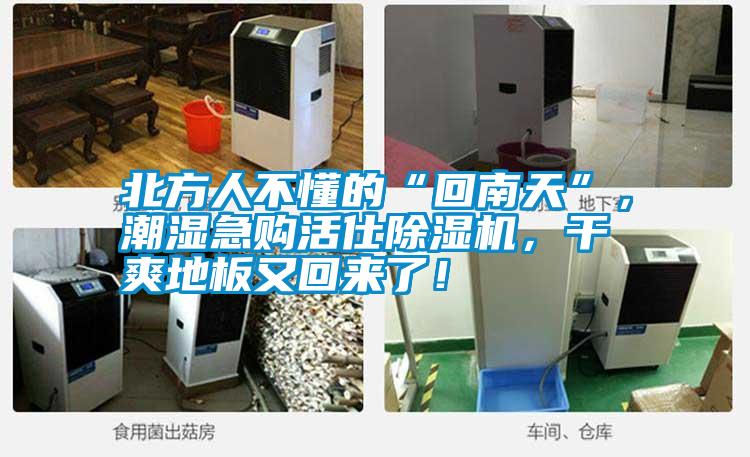 北方人不懂的“回南天”，潮濕急購活仕除濕機(jī)，干爽地板又回來了！