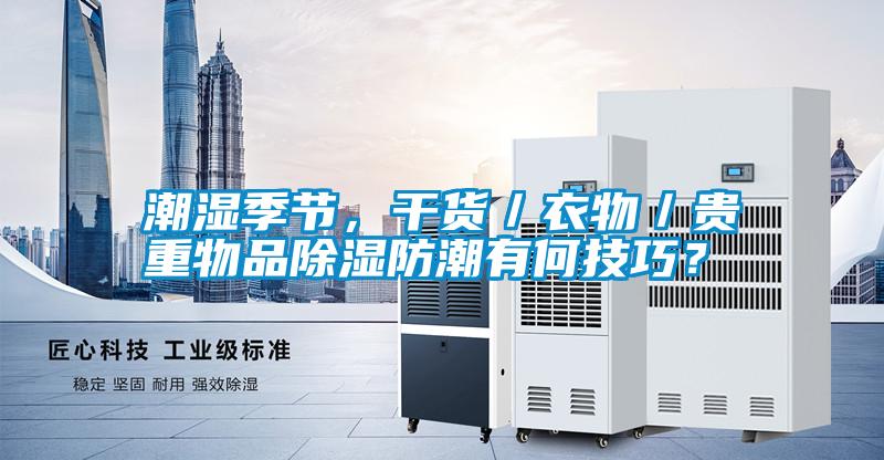 潮濕季節(jié)，干貨／衣物／貴重物品除濕防潮有何技巧？