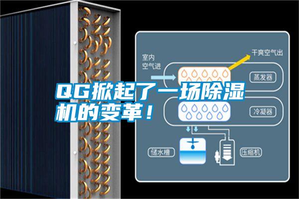 QG掀起了一場(chǎng)除濕機(jī)的變革！