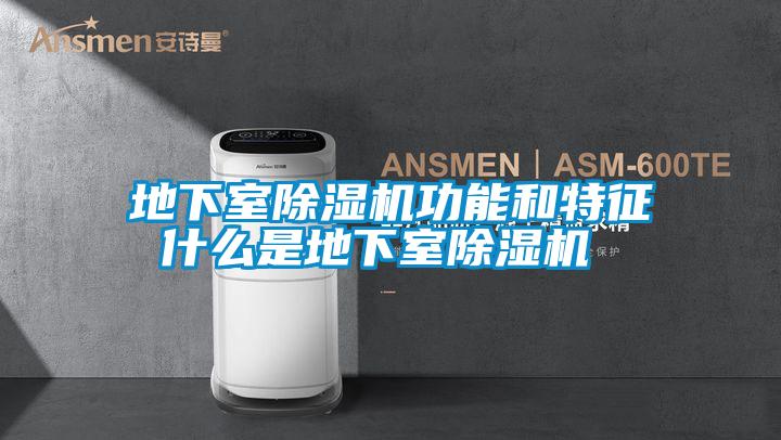 地下室除濕機功能和特征 什么是地下室除濕機