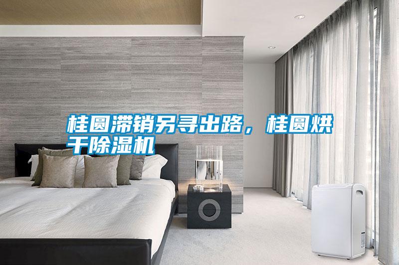 桂圓滯銷另尋出路，桂圓烘干除濕機(jī)