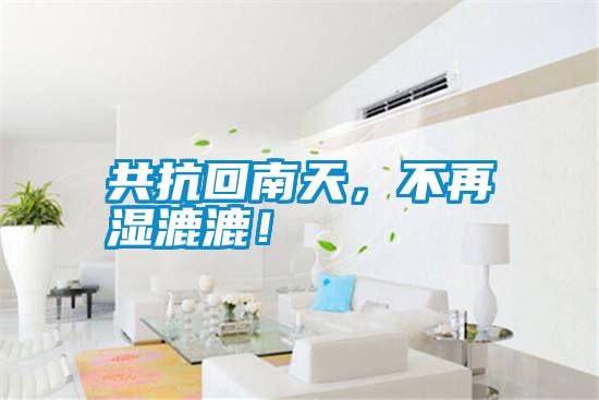 共抗回南天，不再濕漉漉！