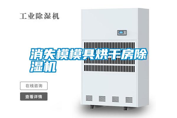 消失模模具烘干房除濕機
