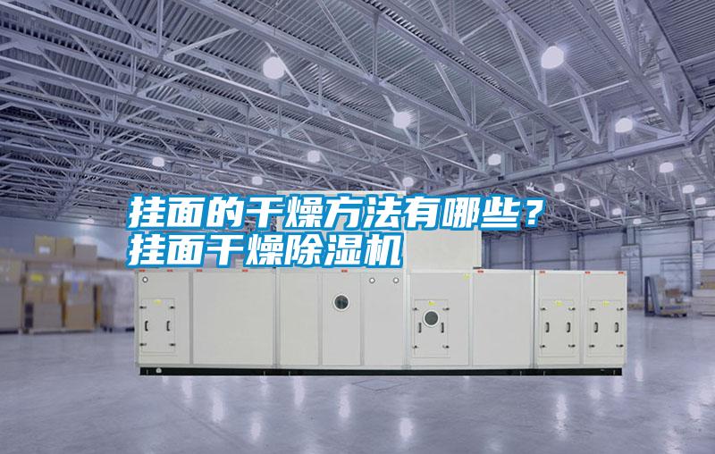 掛面的干燥方法有哪些？ 掛面干燥除濕機(jī)