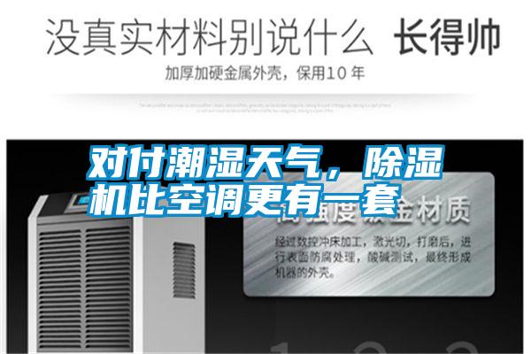 對(duì)付潮濕天氣，除濕機(jī)比空調(diào)更有一套