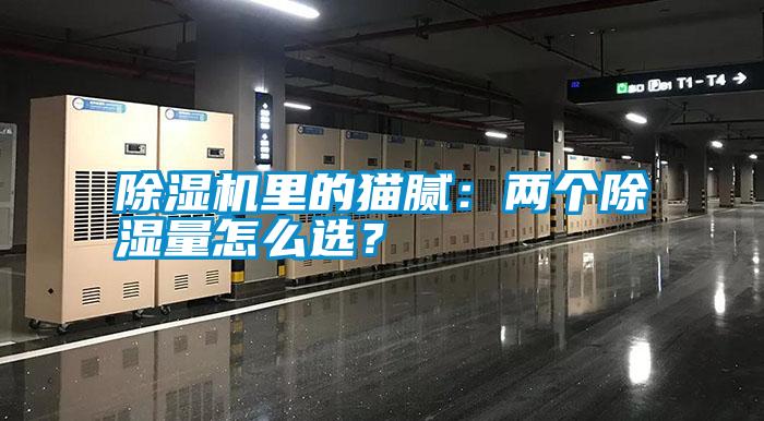 除濕機(jī)里的貓膩：兩個(gè)除濕量怎么選？