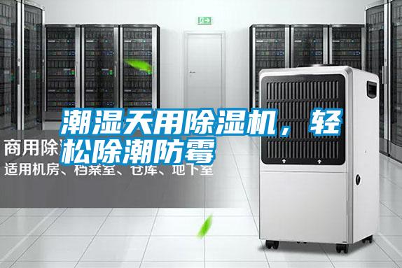 潮濕天用除濕機，輕松除潮防霉