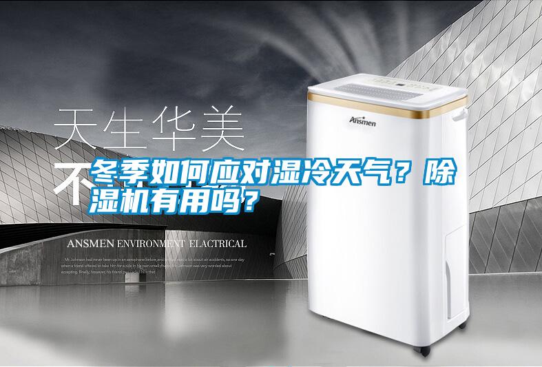 冬季如何應對濕冷天氣？除濕機有用嗎？