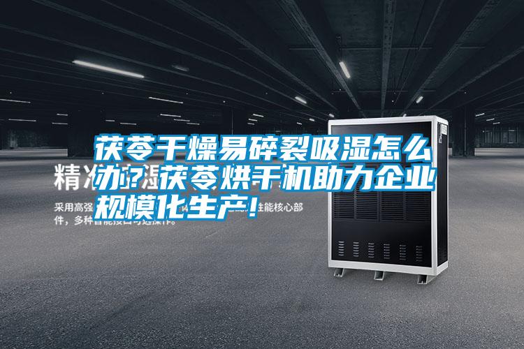 茯苓干燥易碎裂吸濕怎么辦？茯苓烘干機(jī)助力企業(yè)規(guī)?；a(chǎn)!