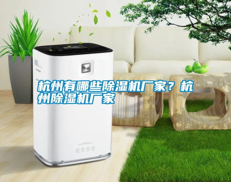 杭州有哪些除濕機(jī)廠家？杭州除濕機(jī)廠家