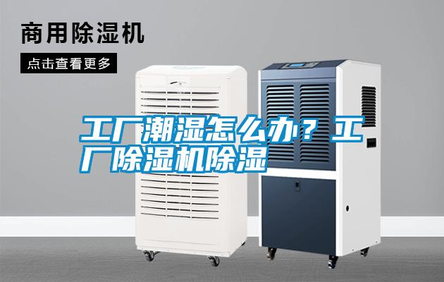 工廠潮濕怎么辦？工廠除濕機(jī)除濕