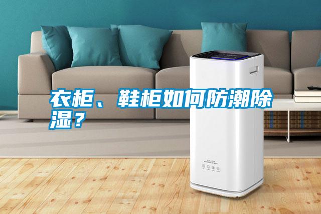 衣柜、鞋柜如何防潮除濕？
