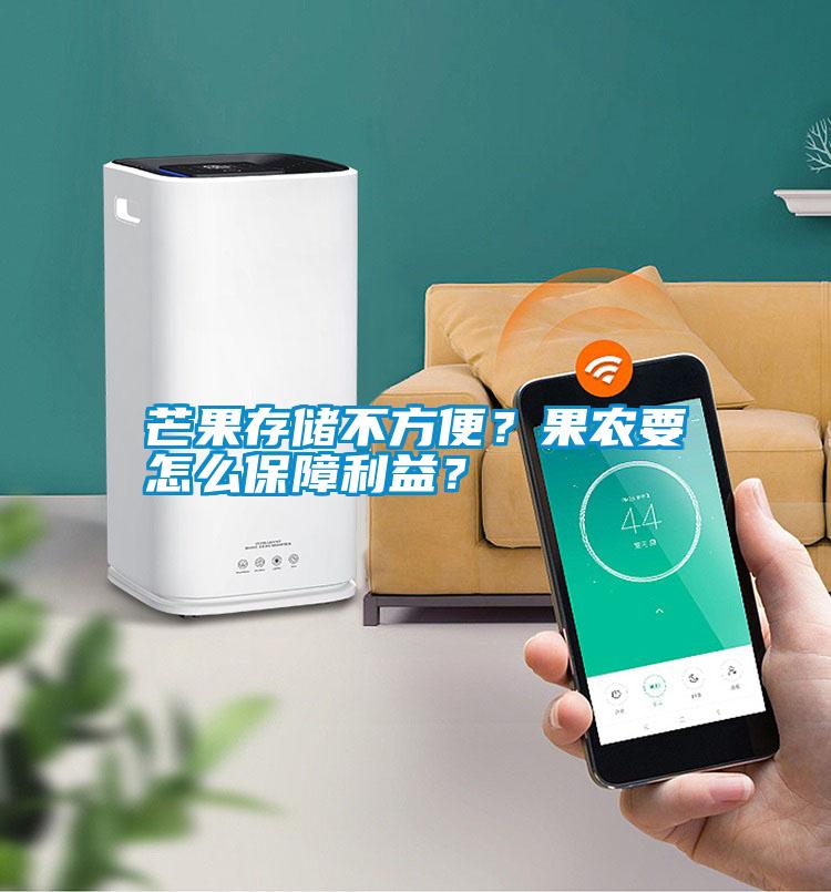 芒果存儲不方便？果農(nóng)要怎么保障利益？