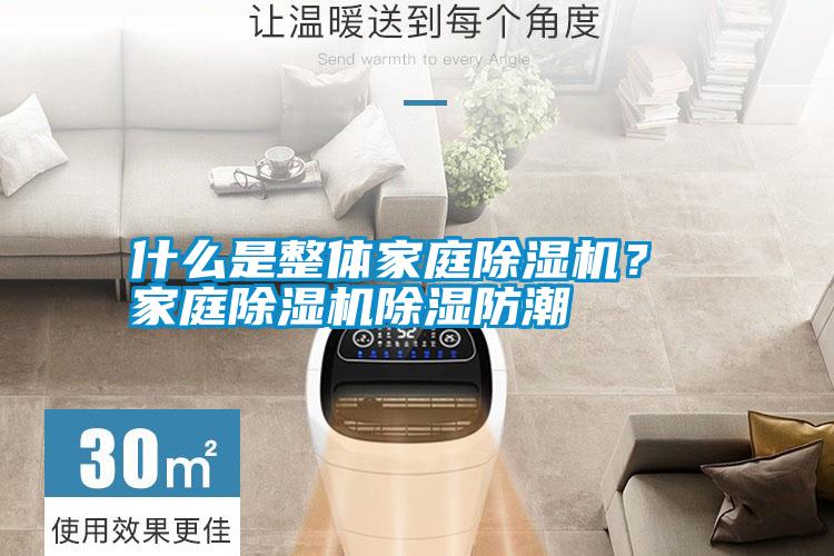 什么是整體家庭除濕機(jī)？ 家庭除濕機(jī)除濕防潮