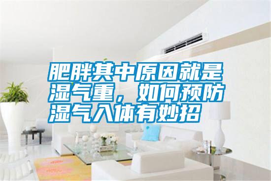 肥胖其中原因就是濕氣重，如何預(yù)防濕氣入體有妙招