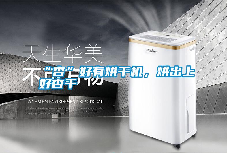 “杏”好有烘干機，烘出上好杏干