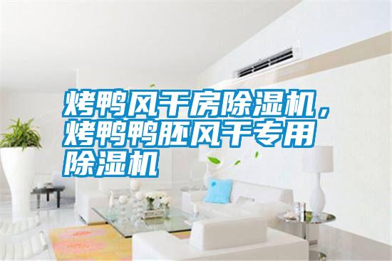 烤鴨風干房除濕機，烤鴨鴨胚風干專用除濕機