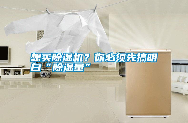 想買除濕機(jī)？你必須先搞明白“除濕量”