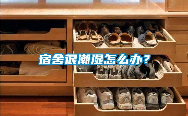 宿舍很潮濕怎么辦？