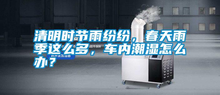 清明時(shí)節(jié)雨紛紛，春天雨季這么多，車內(nèi)潮濕怎么辦？