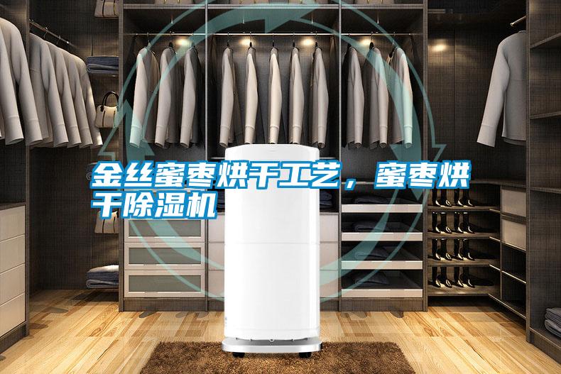 金絲蜜棗烘干工藝，蜜棗烘干除濕機(jī)