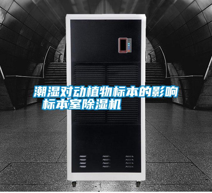 潮濕對動植物標(biāo)本的影響 標(biāo)本室除濕機(jī)