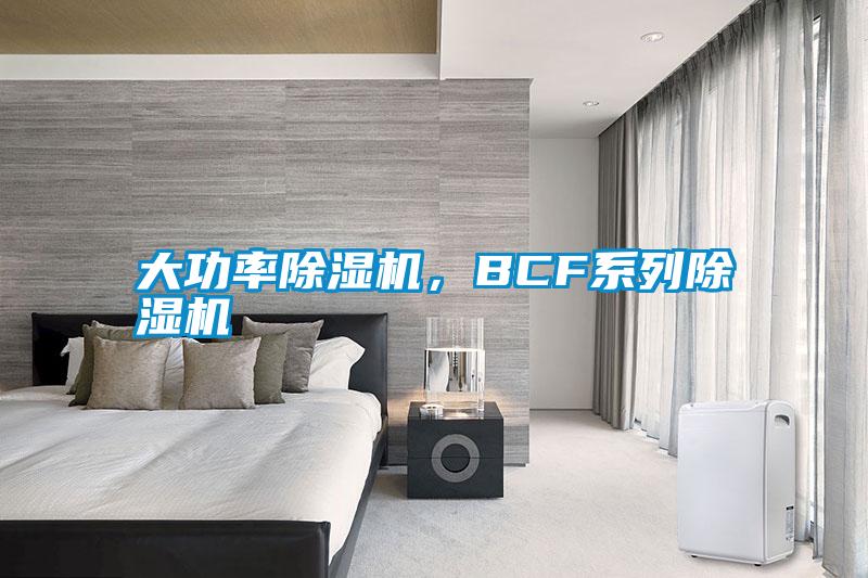 大功率除濕機，BCF系列除濕機
