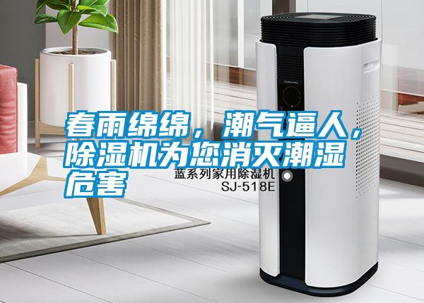 春雨綿綿，潮氣逼人，除濕機為您消滅潮濕危害