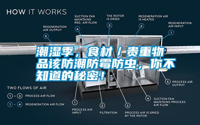 潮濕季，食材／貴重物品該防潮防霉防蟲，你不知道的秘密！