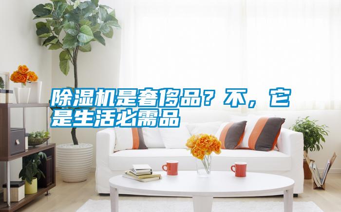 除濕機是奢侈品？不，它是生活必需品