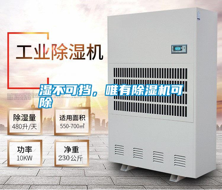 濕不可擋，唯有除濕機(jī)可除