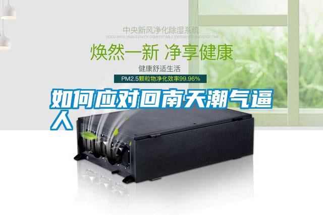 如何應(yīng)對回南天潮氣逼人