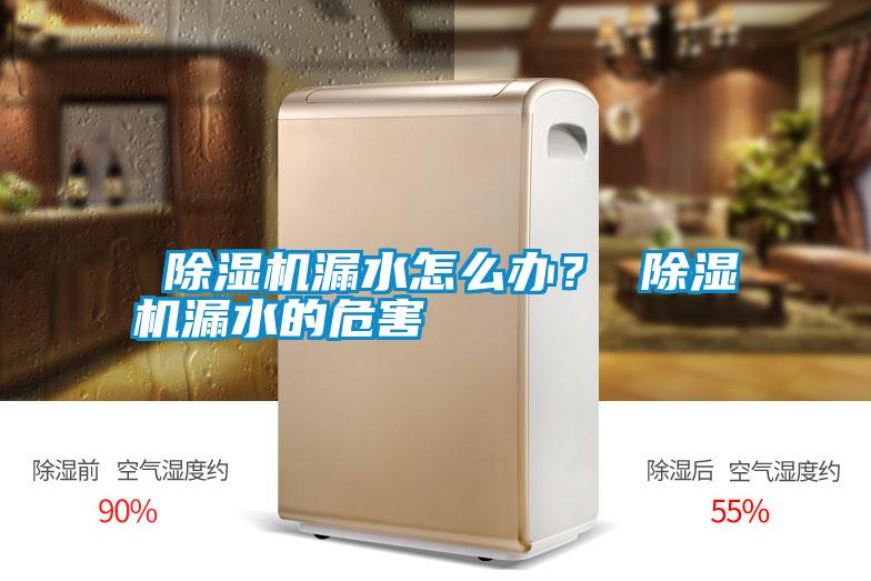  除濕機漏水怎么辦？ 除濕機漏水的危害