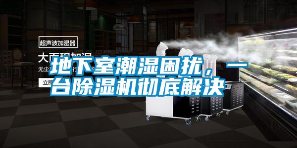 地下室潮濕困擾，一臺除濕機(jī)徹底解決