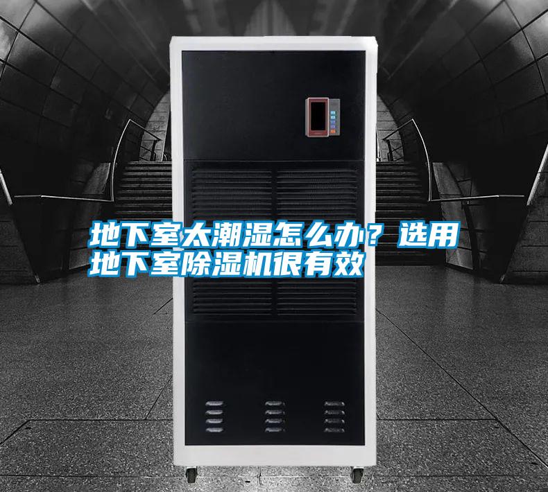 地下室太潮濕怎么辦？選用地下室除濕機很有效