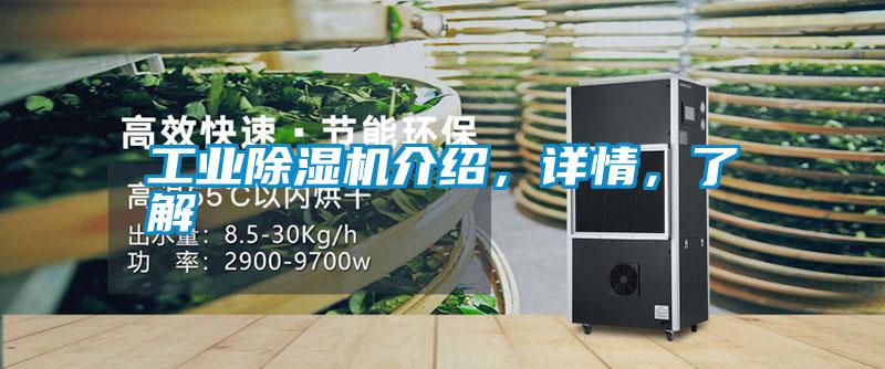 工業(yè)除濕機(jī)介紹，詳情，了解