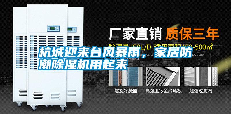 杭城迎來(lái)臺(tái)風(fēng)暴雨，家居防潮除濕機(jī)用起來(lái)