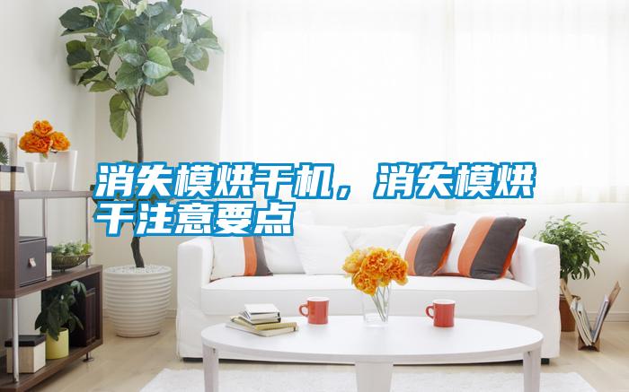 消失模烘干機(jī)，消失模烘干注意要點(diǎn)