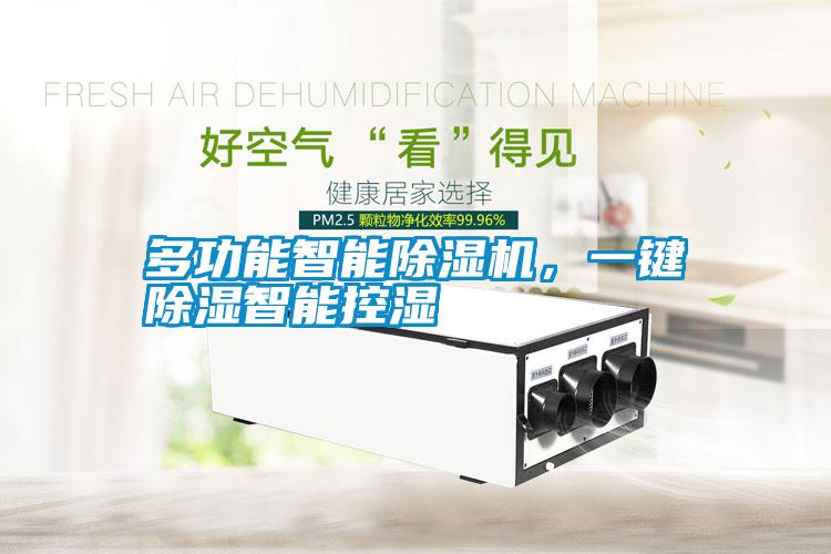 多功能智能除濕機，一鍵除濕智能控濕