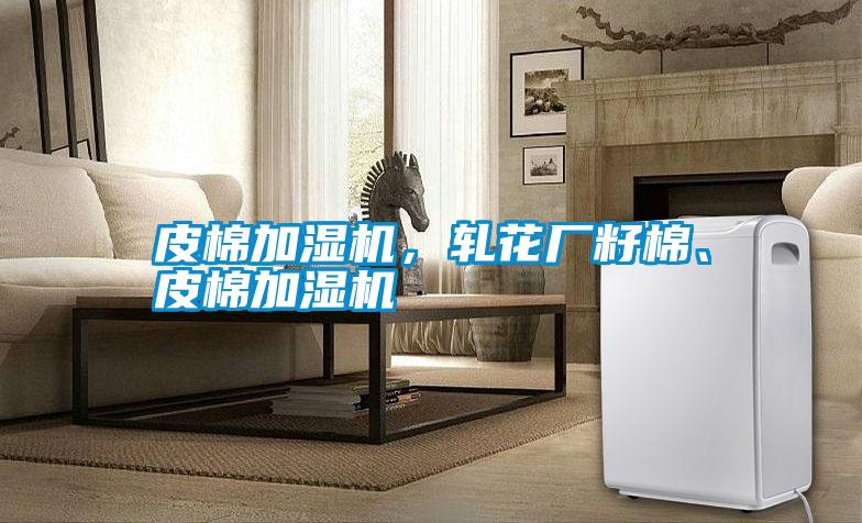 皮棉加濕機(jī)，軋花廠籽棉、皮棉加濕機(jī)